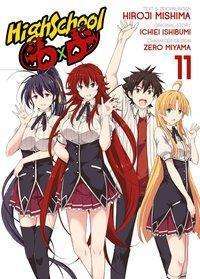 Cover for Mishima · HighSchool DxD.11 (Book)