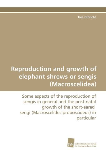 Reproduction and Growth of Elephant Shrews or Sengis (Macroscelidea): Some Aspects of the Reproduction of Sengis in General and the Post-natal Growth ... (Macroscelides Proboscideus) in Particular - Gea Olbricht - Bøker - Suedwestdeutscher Verlag fuer Hochschuls - 9783838111803 - 26. oktober 2009
