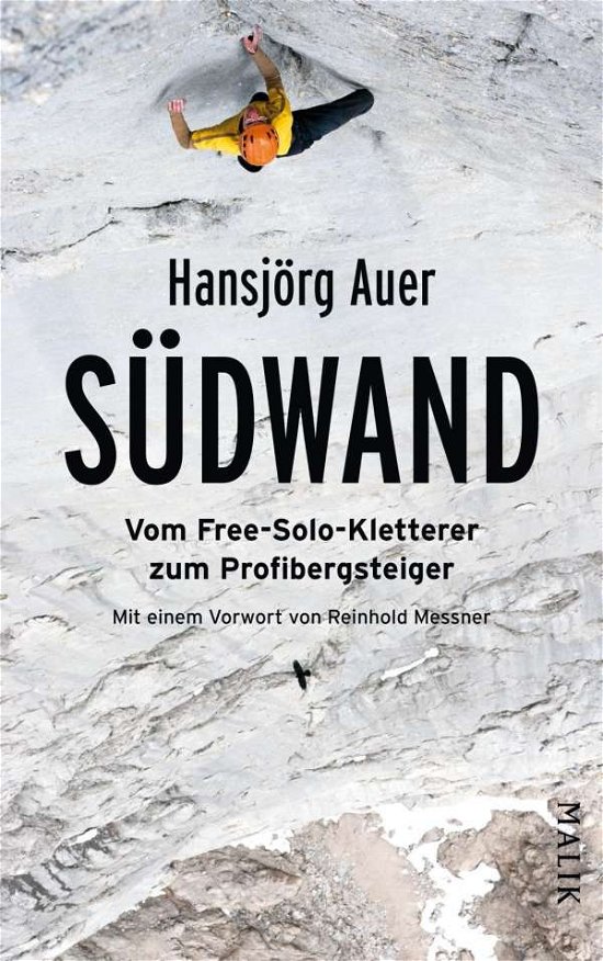 Cover for Auer · Südwand (Book)