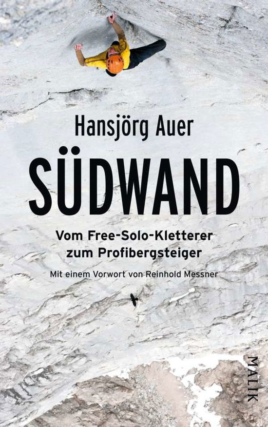 Cover for Auer · Südwand (Bok)