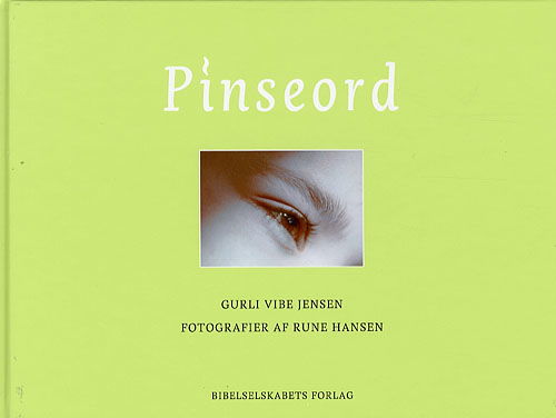 Cover for Gurli Vibe Jensen · Pinseord (Bound Book) [1st edition] [Indbundet] (2007)