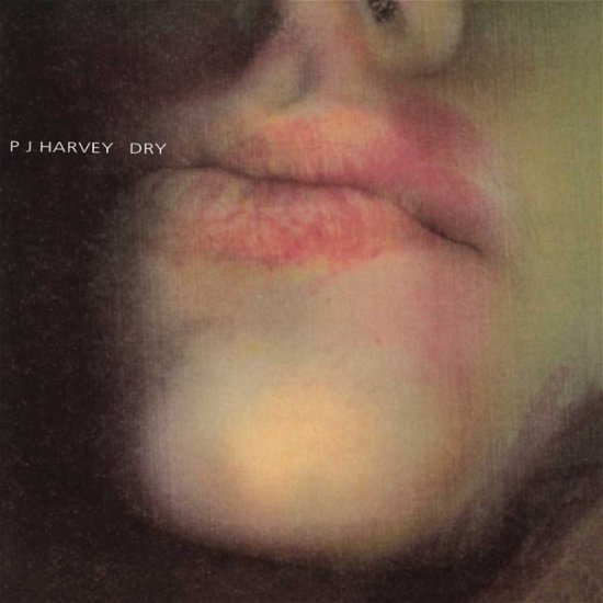 Dry - PJ Harvey - Musikk - ISLAND - 0602508755804 - 24. juli 2020