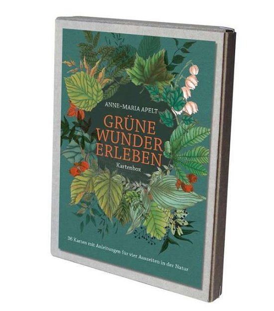 Cover for Apelt · Grüne Wunder erleben - 36 Karten (Bog)