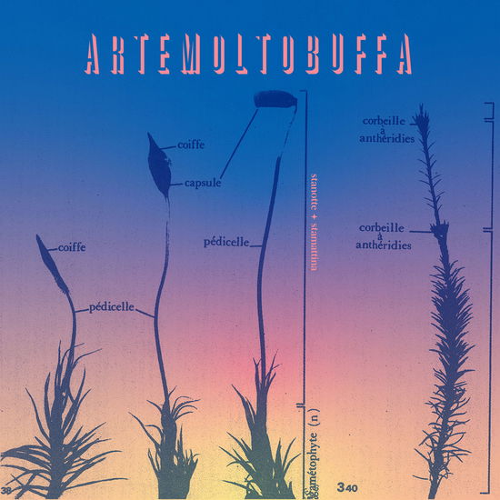 Cover for Artemoltobuffa · Stanotte + Stamattina (LP) (2024)