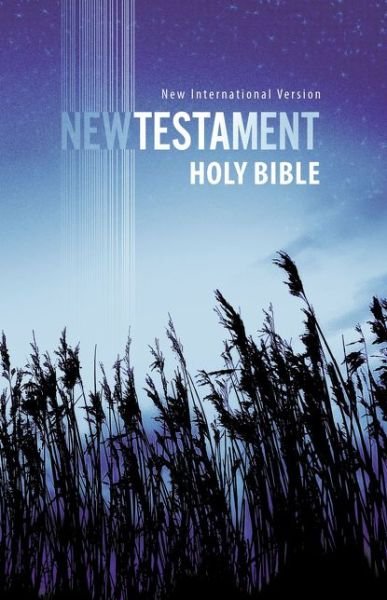 Cover for Zondervan · NIV, Outreach New Testament, Paperback (Paperback Bog) [Special edition] (2017)