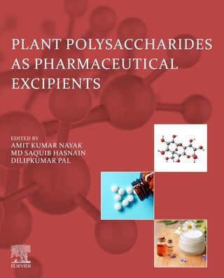 Cover for Amit Kumar Nayak · Plant Polysaccharides as Pharmaceutical Excipients (Paperback Book) (2022)