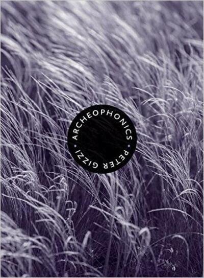 Cover for Peter Gizzi · Archeophonics - Wesleyan Poetry Series (Hardcover Book) (2016)