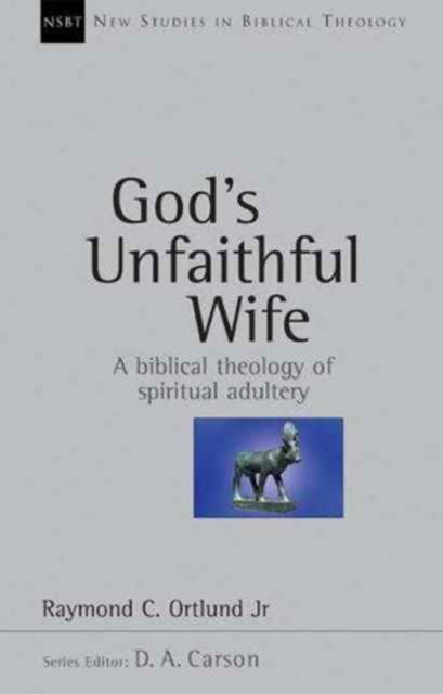 Cover for Ray Ortlund · God's Unfaithful Wife - New Studies in Biblical Theology (Paperback Book) (2003)