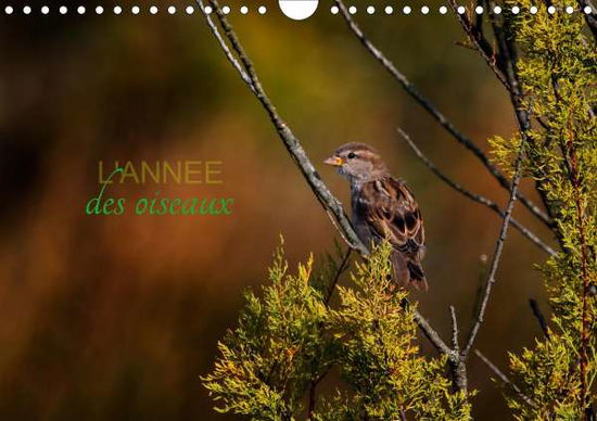 Cover for Gans · L'année des oiseaux (Calendrier mu (Book)