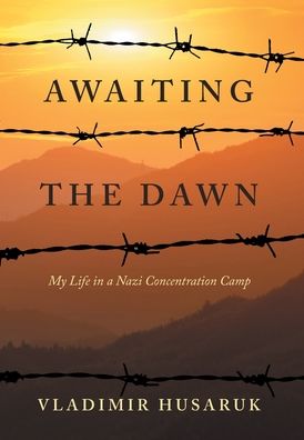 Cover for Vladimir Husaruk · Awaiting The Dawn (Hardcover Book) (2022)