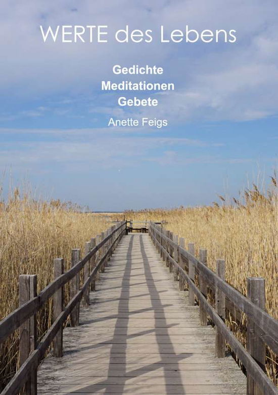 Cover for Feigs · WERTE des Lebens (Book)