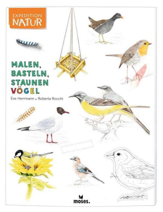 Cover for Herrmann · Expedition Natur: Malen, Baste (Bog)