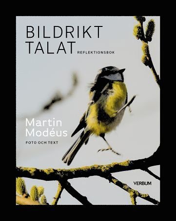 Cover for Martin Modéus · Bildrikt talat : reflektionsbok (Indbundet Bog) (2021)