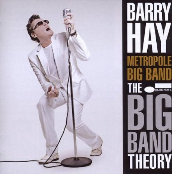 Cover for Barry Hay · The Big Band Theory (LP) (2024)