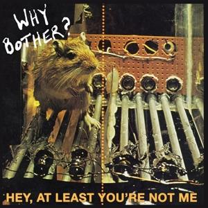 Hey At Least You\'re Not Me - Why Bother? - Music -  - 0657628449805 - 