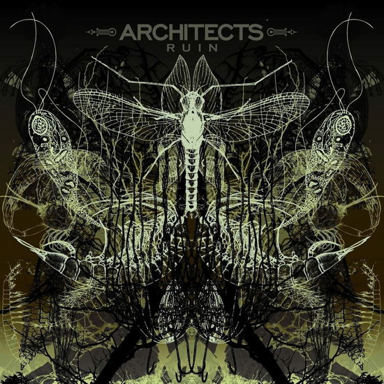 Cover for Architects · Ruin (LP) (2022)