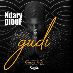 Cover for Ndary Diouf · Gudi (CD) (2020)