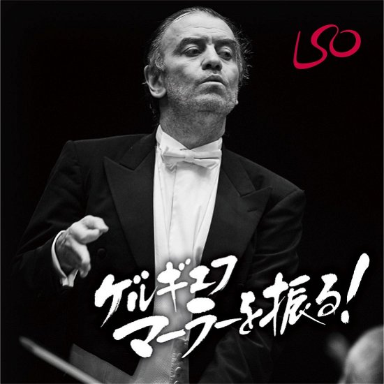 Cover for Valery Gergiev · Mahler Symphony:1-10 (CD) (2010)
