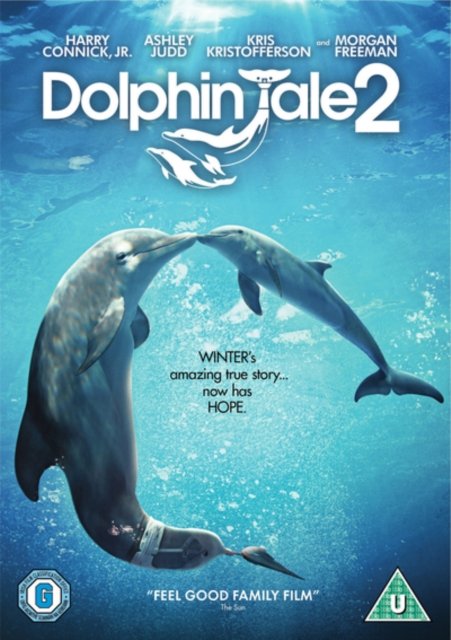 Cover for Dolphin Tale 2 Dvds · Dolphin Tale 2 (DVD) (2015)