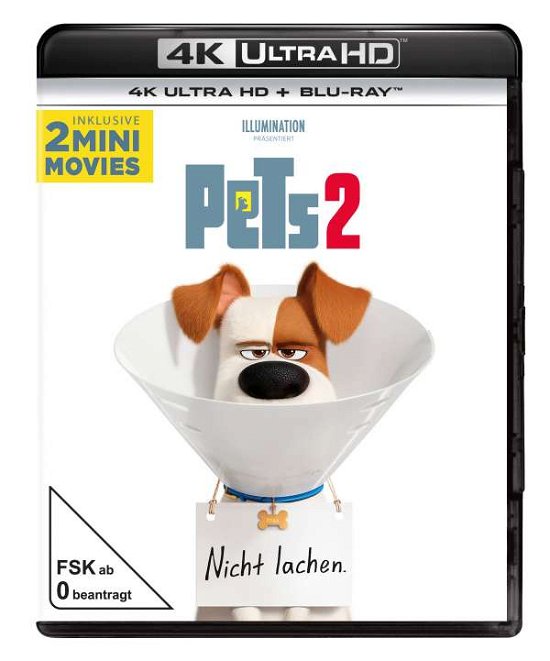 Cover for Keine Informationen · Pets 2 (4K UHD Blu-ray) (2019)