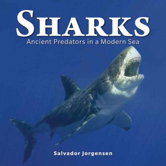 Salvador Jorgensen · Sharks: Ancient Predators in a Modern Sea (Paperback Book) (2018)