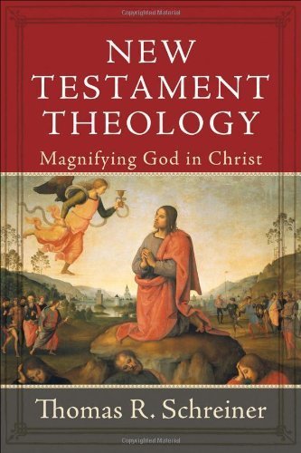 Cover for Thomas R. Schreiner · New Testament Theology: Magnifying God in Christ (Innbunden bok) (2008)
