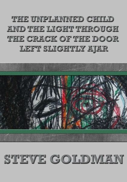 Cover for Steve Goldman · The Unplanned Child &amp; the Light Through the Crack of the Door Left Slightly Ajar (Paperback Book) (2017)