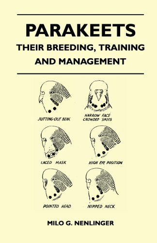 Cover for Milo G. Nenlinger · Parakeets - Their Breeding, Training and Management (Taschenbuch) (2011)