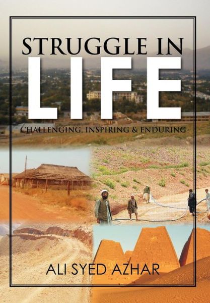 Cover for Ali Syed Azhar · Struggle in Life: Challenging, Inspiring &amp; Enduring (Hardcover Book) (2012)