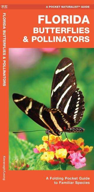 Cover for James Kavanagh · Florida Butterflies &amp; Pollinators: A Folding Pocket Guide to Familiar Species - Wildlife and Nature Identification (Pamphlet) [2nd edition] (2020)