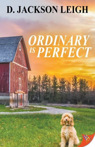 Cover for D. Jackson Leigh · Ordinary is Perfect (Paperback Book) (2019)