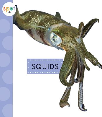 Cover for Mari Schuh · Squids (Paperback Book) (2021)