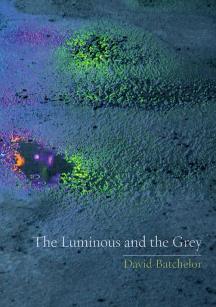 Cover for David Batchelor · The Luminous and the Grey (Paperback Bog) (2014)