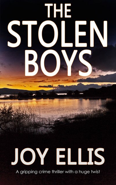 Cover for Joy Ellis · The Stolen Boys (Taschenbuch) (2020)