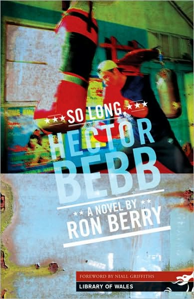 Cover for Ron Berry · So Long Hector Bebb - Library of Wales (Paperback Book) (2005)