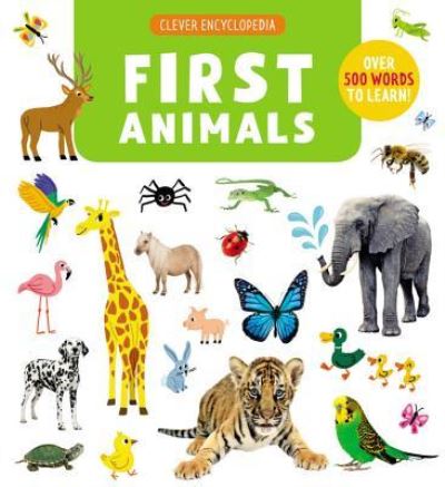 Cover for Cécile Jugla · First Animals (Hardcover Book) (2019)