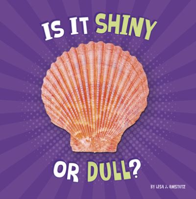 Cover for Lisa J. Amstutz · Is It Shiny or Dull? (Buch) (2021)