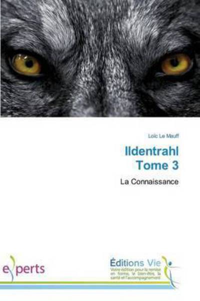 Cover for Le Mauff Loic · Ildentrahl Tome 3 (Paperback Book) (2018)