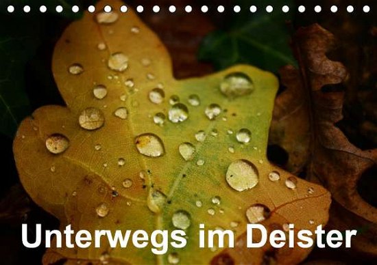 Cover for Witt · Unterwegs im Deister (Tischkalende (Book)