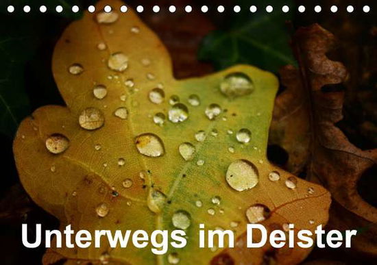 Cover for Witt · Unterwegs im Deister (Tischkalende (Book)