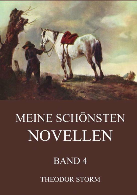 Cover for Storm · Meine schönsten Novellen, Band 4 (Bog)