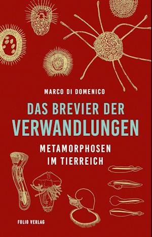 Cover for Marco Di Domenico · Das Brevier der Verwandlungen (Bok) (2023)