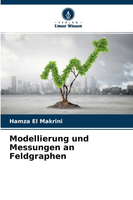 Cover for Hamza El Makrini · Modellierung und Messungen an Feldgraphen (Paperback Book) (2021)