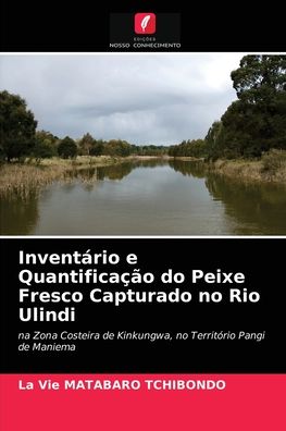 Cover for La Vie Matabaro Tchibondo · Inventario e Quantificacao do Peixe Fresco Capturado no Rio Ulindi (Paperback Bog) (2021)