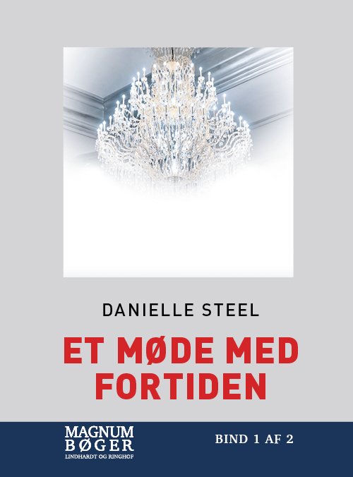 Cover for Danielle Steel · Et møde med fortiden (Storskrift) (Indbundet Bog) [3. udgave] (2020)