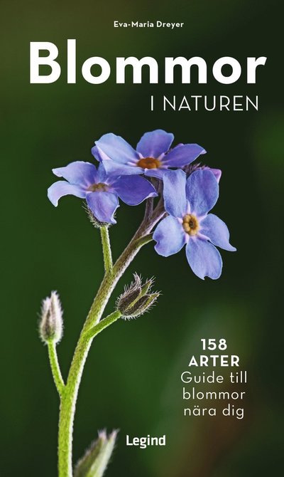 Cover for Eva-Maria Dreyer · Blommor i naturen : 158 arter, guide til blommor nära dig (Paperback Book) (2023)