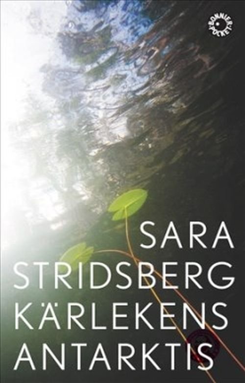 Cover for Sara Stridsberg · Kärlekens Antarktis (Taschenbuch) (2019)
