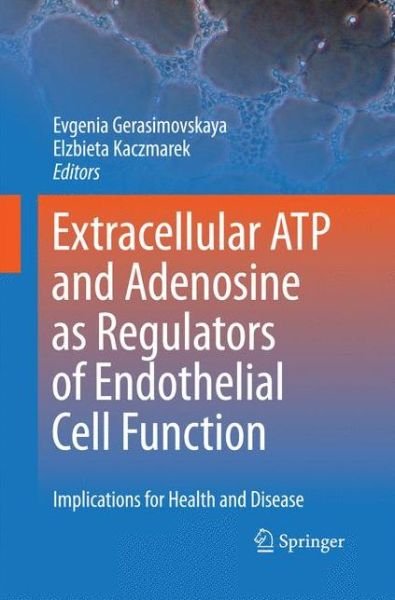 Cover for Evgenia Gerasimovskaya · Extracellular ATP and adenosine as regulators of endothelial cell function: Implications for health and disease (Paperback Book) [2010 edition] (2014)