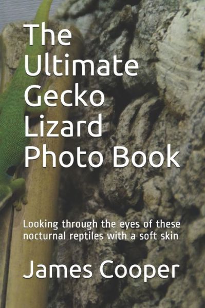 Cover for James Cooper · The Ultimate Gecko Lizard Photo Book (Paperback Book) (2020)