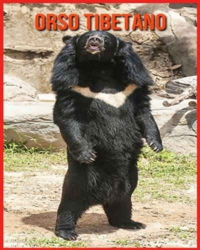 Orso Tibetano: Foto stupende e fatti divertenti Libro sui Orso Tibetano per bambini - Alicia Moore - Books - Independently Published - 9798713966805 - February 26, 2021